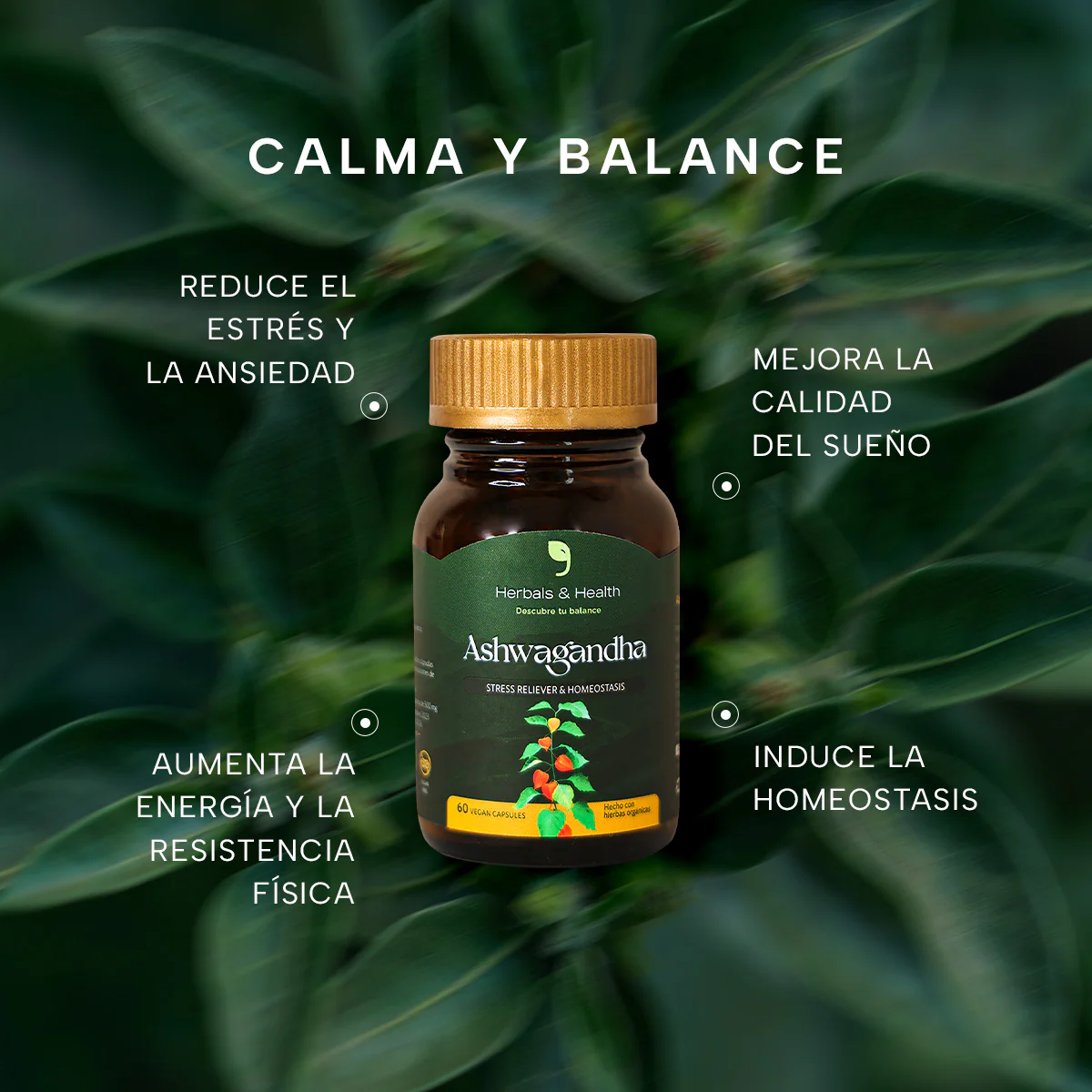 Ashwagandha: 60 Cápsulas para reducir el Estrés y Ansiedad